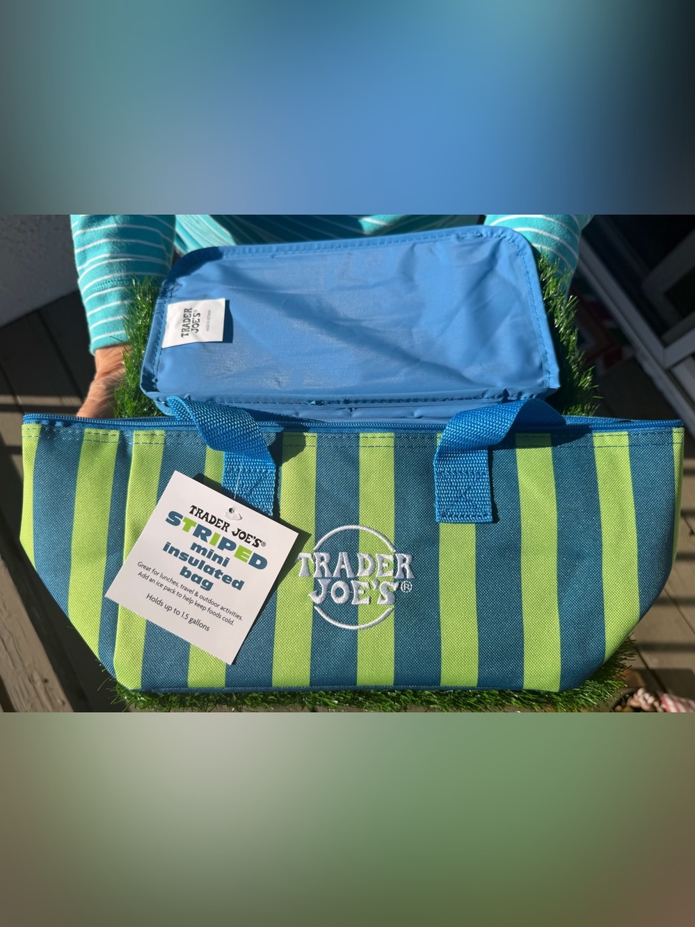 💚Trader Joe’s Summer Edition Striped Green Mini Insulated Bag ☀️